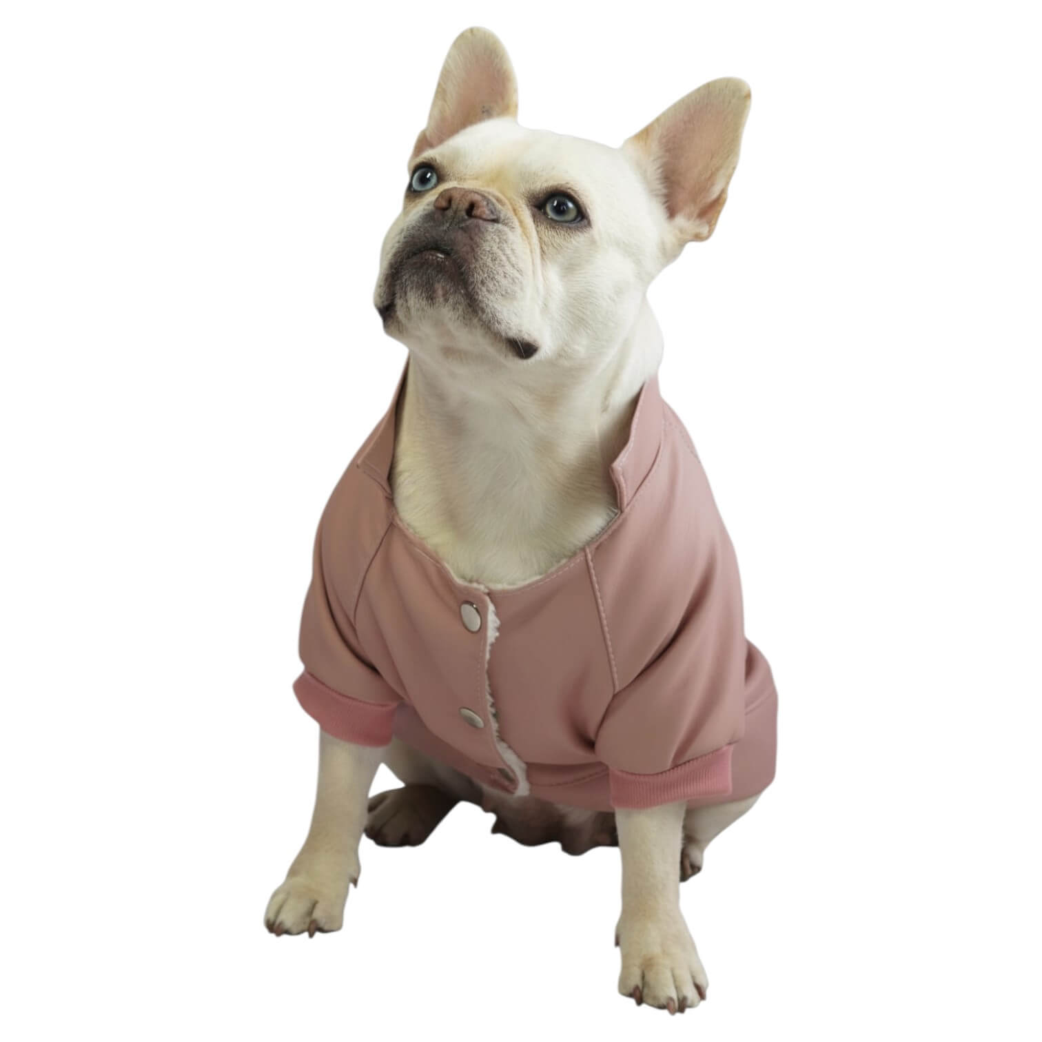 Chaqueta Rock Star para perros y gatos en cuerina rosada 
vista frontal - Animal Power Colombia
4