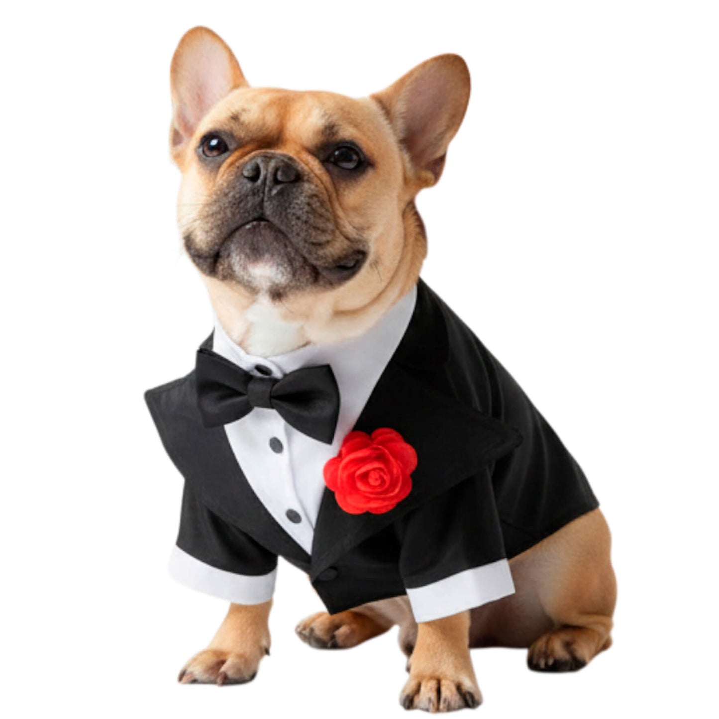  Smoking formal negro para perros y gatos en tela brillante 
vista frontal - Animal Power Colombia
