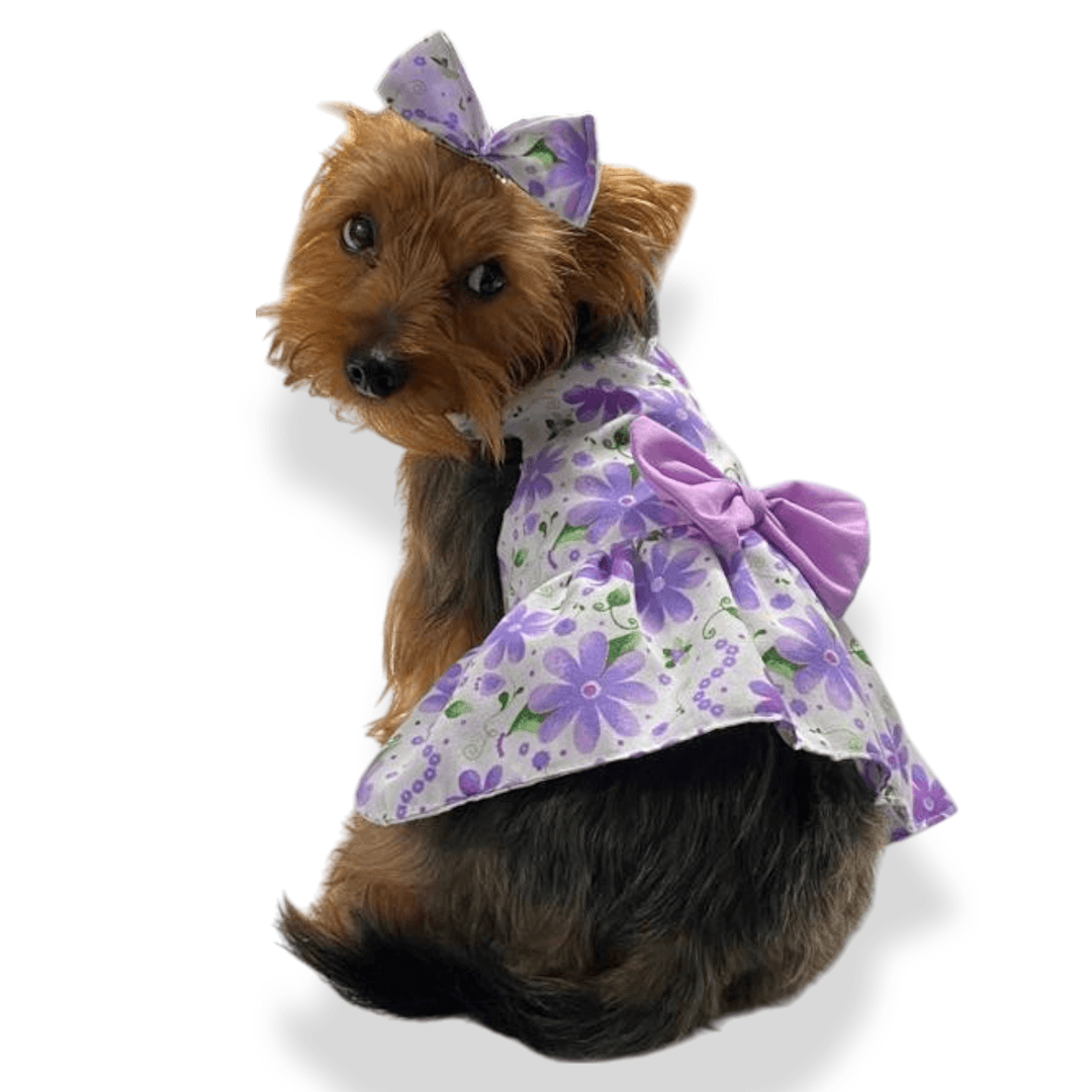  Vestido Imperio morado para perras y gatas en antifluido 
suave vista frontal - Animal Power Colombia
