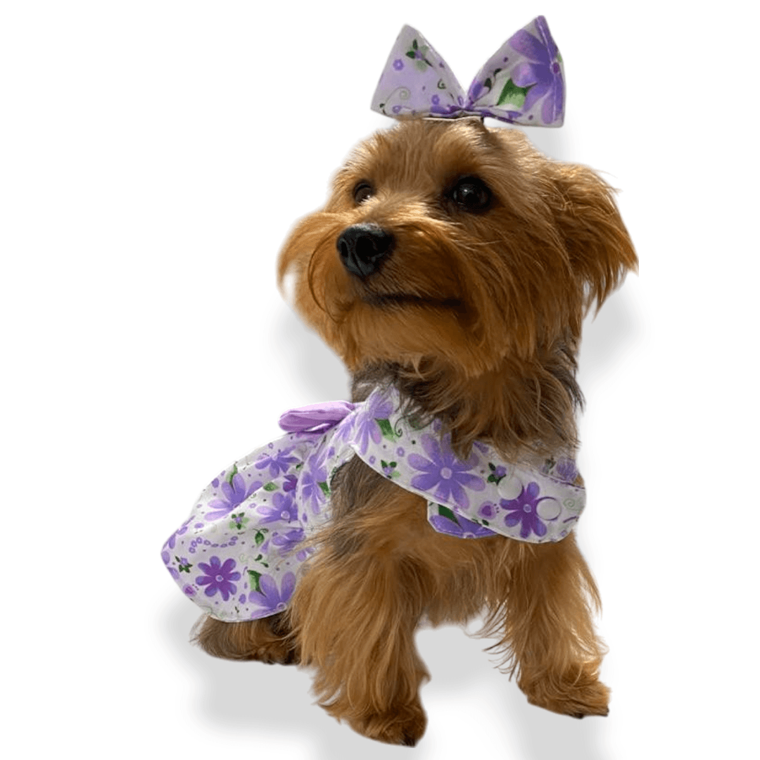  Vestido Imperio morado para perras y gatas en antifluido 
suave vista frontal - Animal Power Colombia
