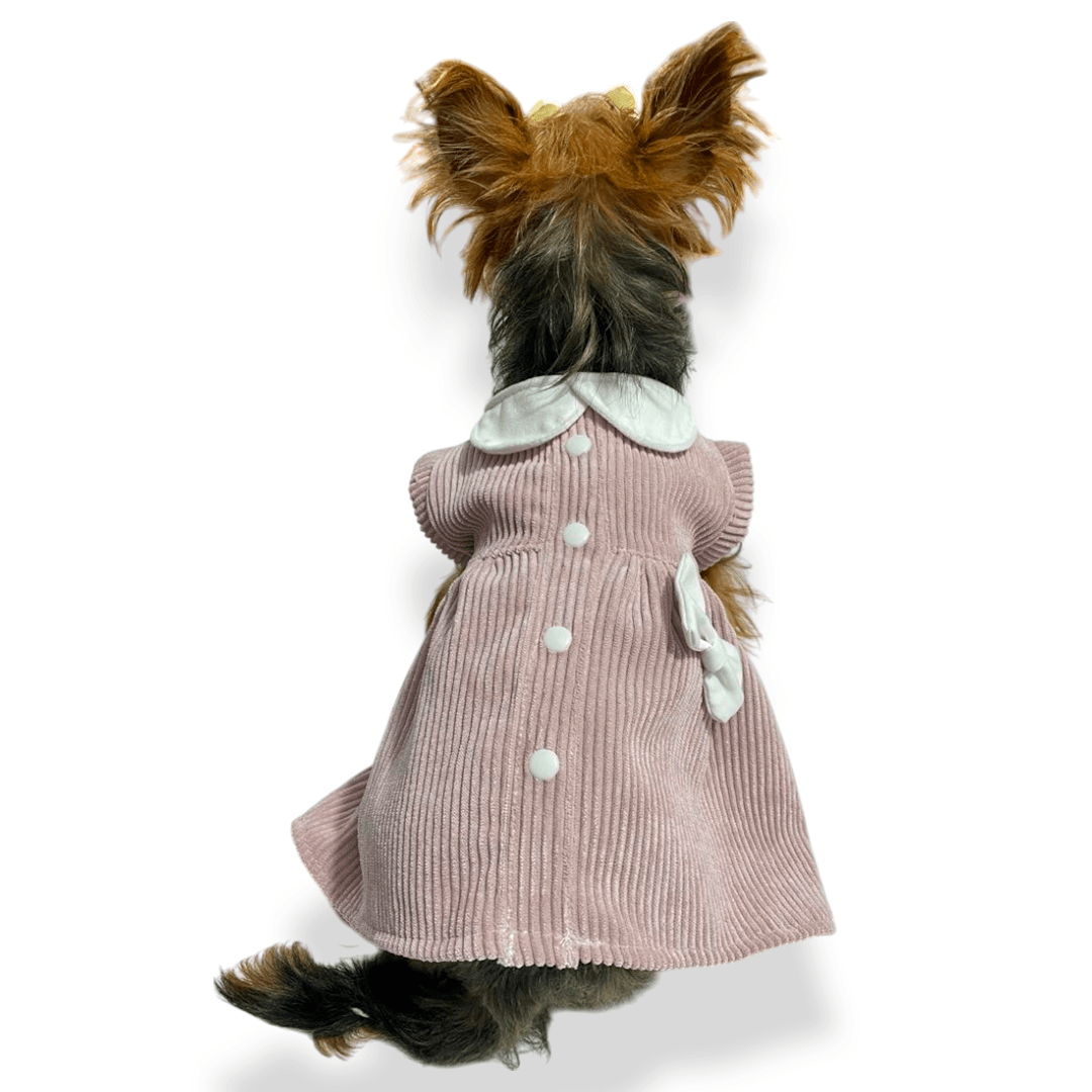  Vestido Victoria para perras y gatas en pana rosada 
vista frontal - Animal Power Colombia
